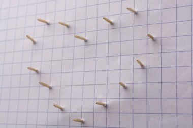 Çivi bir kalp şekli oluşturan kağıt üzerinde delik aç