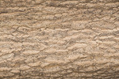 Duvar yüzeyi basit bir arkaplan dokusu deseni olarak