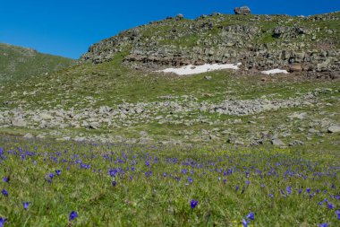 Doğa arka plan olarak yaz aylarında yeşil mera dağlarda