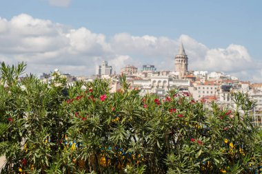 İstanbul 'da antik çağlardan kalma Galata Kulesi manzarası