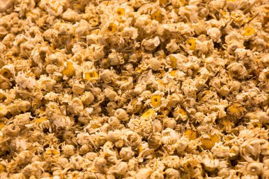 Markette satılık bitkiler var.