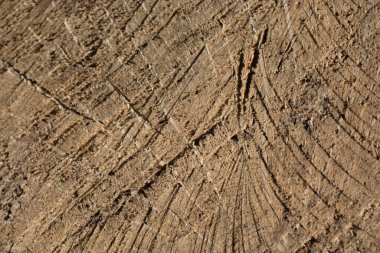 Arkaplan olarak doğal desenli ahşap doku