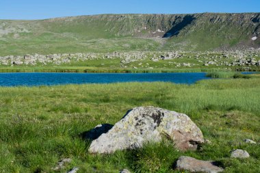 Türkiye 'nin Artvin ilinde Highland Gölü yeşil doğal arka planda