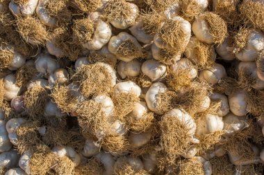 Pazar yerinde bir demet sarımsak soğanı.