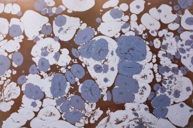 Soyut boyalı yaratıcı ebru sanat arka planı. Mermer desenli çiçek desenleri