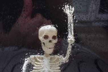 Tıbbi anatomi bilim kliniği konsepti için insan iskeleti modeli.