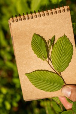 Eline bir defter sayfası bırakır