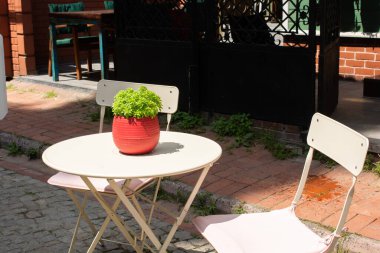 Çiçekler çiçek arkaplan dokusunu oluşturur