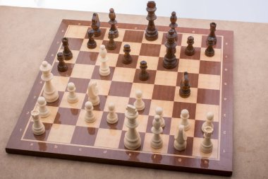 Satranç tahtasının üzerinde satranç taşları var.