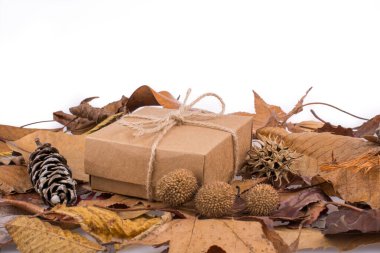 Hediye kutusu kahverengi bir renk ve çam koni