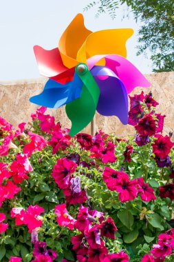 Doğa olarak güzel taze çiçekler.