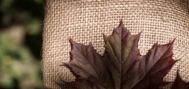 Keten brandaya yerleştirilmiş yeşil yapraklar