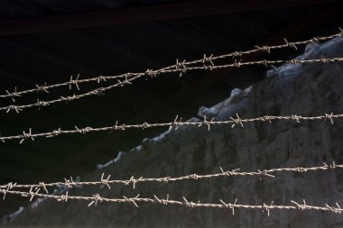 Korunmak için kullanılan dikenli tel çitler.