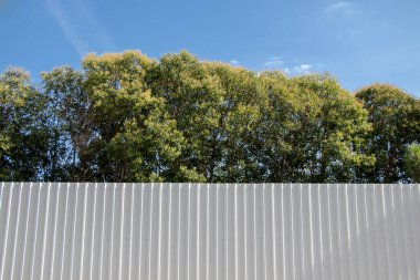 Bahçede bir ağacın parçası görünüyor.