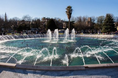 Çeşmeler parktaki bir havuzda köpüklü su fışkırtıyor.