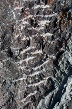 Arkaplan ve arkaplan doku ayrıntıları