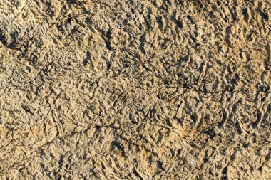 Arka plan dokusu olarak doğal kaya veya taş yüzeyi