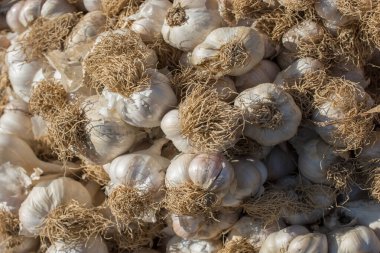 Pazar yerinde bir demet sarımsak soğanı.