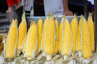 Bir sürü taze organik soyulmuş mısır.