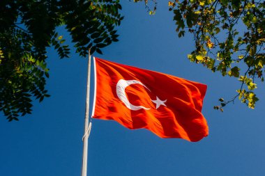 Gökyüzünde beyaz yıldız ve ay bulunan Türk ulusal bayrağı