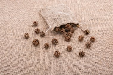 Bitki kapsülleri, çuvaldan çıkan kapsüller.