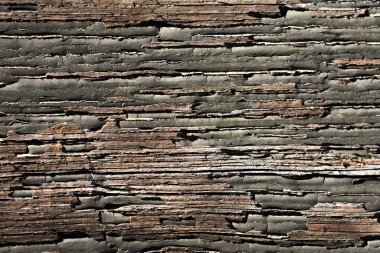 Arkaplan olarak doğal desenli ahşap doku