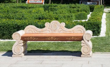 Gül bahçesinde güzel renkli güller