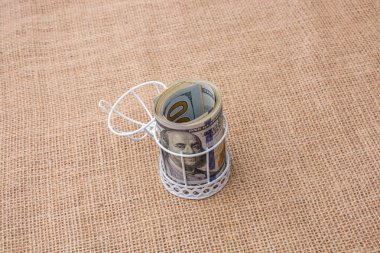 Banknot bohça-in bizi Doları yerleştirilen bir kuş kafeste