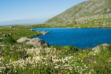 Türkiye 'nin Artvin ilinde Highland Gölü yeşil doğal arka planda