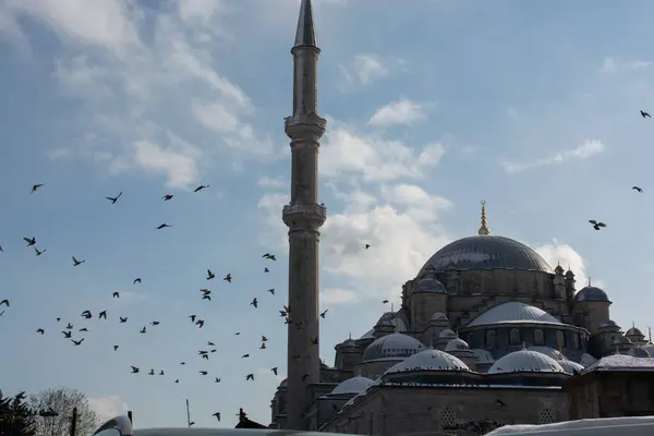 stock image Pigeon flying around the mosque minarets