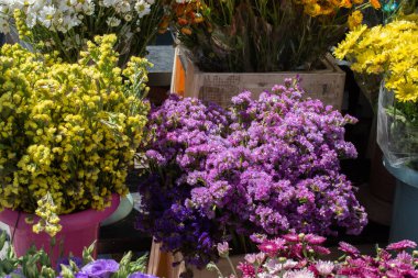 Çiçek arkaplanı gibi güzel, renkli doğal çiçekler.