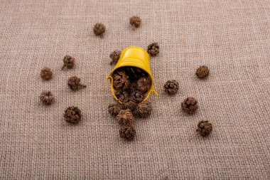 Kahverengi pod, kapsül ve tuval üzerine mini Kepçe çevresinde