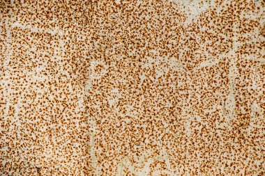 Metal yüzey bir arkaplan dokusu deseni olarak