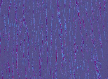 Katı bir arkaplan dokusu olarak ahşap yüzey