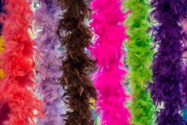 Dekoratif amaçlar için güzel kuş tüyleri