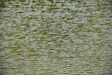 Belirli bir doku kalıbına sahip arka plan