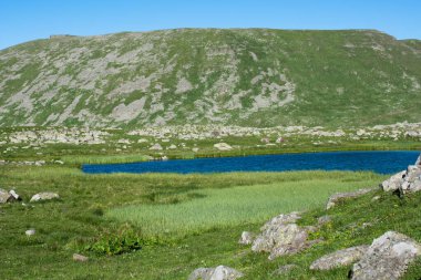 Türkiye 'nin Artvin ilinde Highland Gölü yeşil doğal arka planda