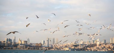 Uzak mesafedeki Ayasofya ve Mavi Cami 'nin olduğu Bakire Kulesi' nden akşam görüntüsü.