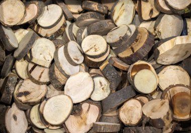 Wood Log cut in round thin pieces in view clipart