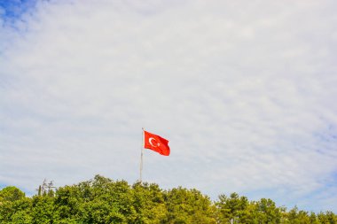 Kutup ağaçların arasında Türk ulusal bayrak asmak