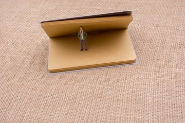 Heykelcik ayakta tuval üzerine bir defter