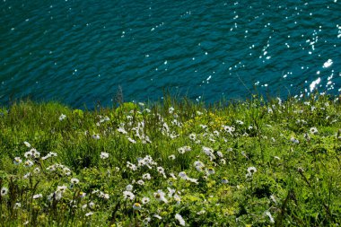 Türkiye 'nin Artvin ilinde Highland Gölü yeşil doğal arka planda