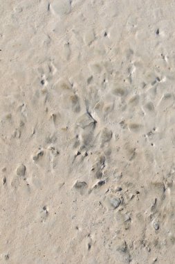 Yeni dökülmüş beton yüzeydeki desenler