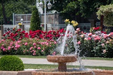 Gül bahçesindeki çeşmeden akan su