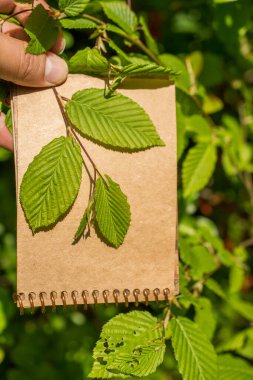 Eline bir defter sayfası bırakır