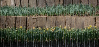 Görünüşte ahşaptan yapılmış bir çit parçası