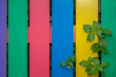 Arkaplan olarak eski ahşap bir dalışın doku ayrıntıları