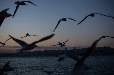 Uzak mesafedeki Ayasofya ve Mavi Cami 'nin olduğu Bakire Kulesi' nden akşam görüntüsü.