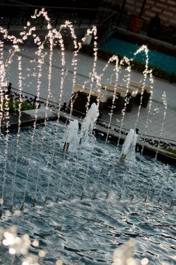 Çeşmeler parktaki bir havuzda köpüklü su fışkırtıyor.