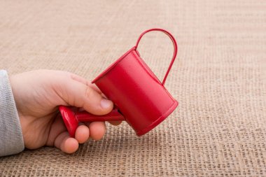 Sulama olabilir bir tuval arka planda tutan el